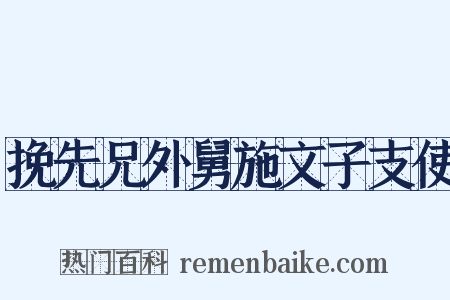 挽先兄外舅施文子支使是什么意思的图片